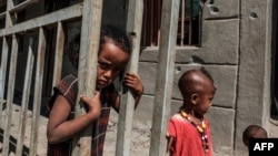 Faayiilii - Ijoollee gamoo xiyyitiidhan butute fundura tabatan, Bisoobar, Tigraay, Muddee 9, 2020