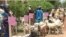 FILE - Goats are being distributed in Maroua, Cameroon, July 11, 2019, as part of an empowerment initiative designed to prevent locals from being recruited by Boko Haram militants. (M. Kindzeka/VOA)