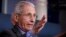 Bác sĩ Anthony Fauci, giám đốc Viện Dị ứng và Bệnh Truyền nhiễm Quốc gia tại cuộc họp báo ở Tòa Bạch Ốc ngày 13/4/2020.