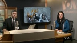 بي بي شیرینه – وي او اې ډيوه په ټیلې ویژن