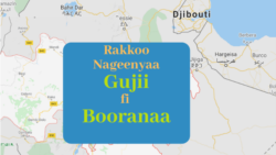 Kibba Oromiyaatti Jiraattonni humnoota Nageenya mootummaan hidhamuu fi dararamuu himatu