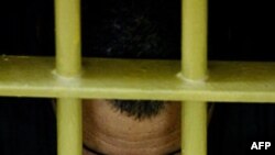 Tacikistan prezidenti İmaməli Rəhmonov amnistiya ilə bağlı fərman imzalamalıdır