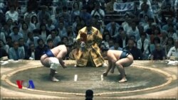 ტოჩინოშინი, ასანოიამა და დონალდ ტრამპი