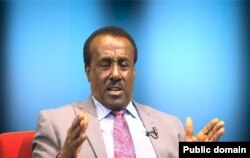 ዳዊት ወልደጊዮርጊስ /ሻለቃ/