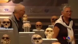 ကျောက်ခေတ် ပြခန်း