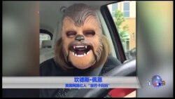 2016年网上疯传的视频和搞笑内容