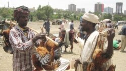 ኣብ ኤርትራን ኢትዮጵያን፡ ብምኽንያት ፋሲካ ዕዳጋ ከመይ ውዓለ !