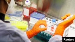 FILE PHOTO: A laboratory of the vaccine company Bavarian Nordic, in Martinsried near Munich