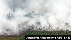 Kebakaran hutan yang terlihat di dekat perkebunan kelapa sawit di Kabupaten Tanah Putih di Rokan Hilir, Provinsi Riau, 21 Februari 2017. (Foto: Antara/FB Anggoro via REUTERS)