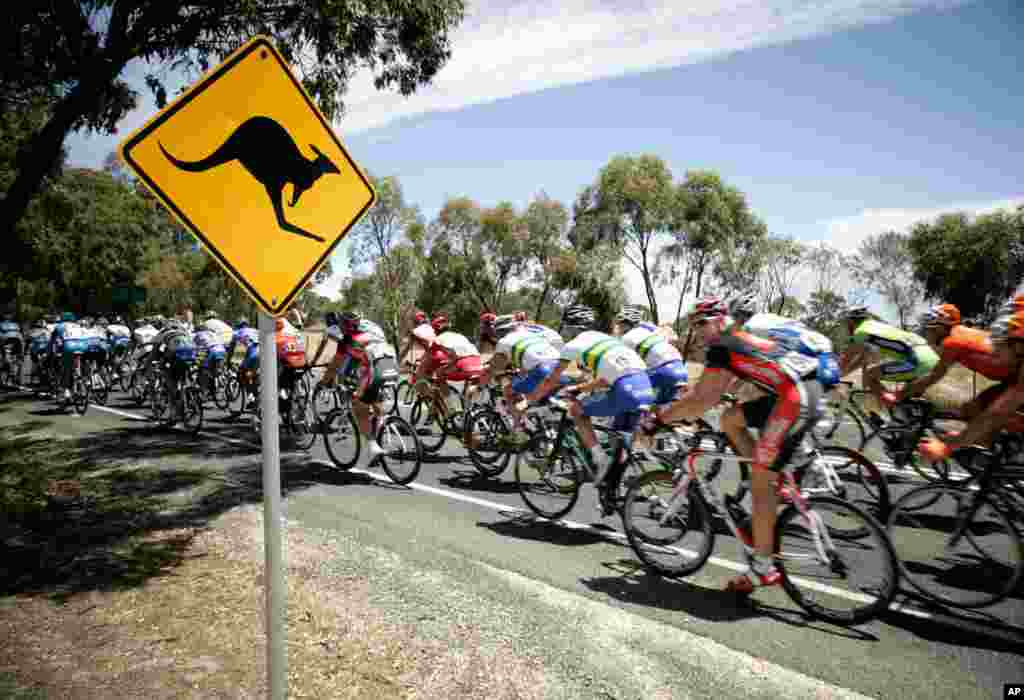 January 20, 2009: Armstrong races in the Tour Down Under in Adelaide, his first since resuming his professional cycling career.