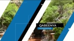 Tamsaasa Guyaadhaa Guyyaa