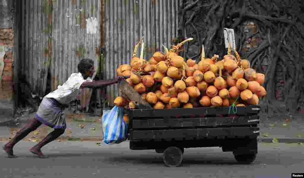 Seorang penjual mendorong gerobaknya yang sarat dengan kelapa menuju pasar utama di Kolombo, Sri Lanka.