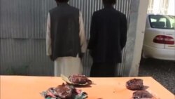 بازداشت ۵ قاچاقبر در بدخشان