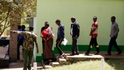 Manni Murtii Keeniyaa Lammilee Itiyoophiyaa seeraan ala biyyattii Seenan 137’irratti murtee dabarse