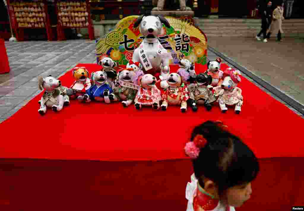 Sony's robotic dogs "Aibo" are gathered by their owners during a ritual for their pet's health during an annual ceremony called Shichi-Go-San, which is usually held for praying for children's health, at the Kanda Myojin shrine in Tokyo, Japan.