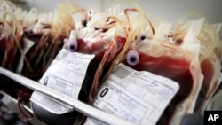 Photo blood units are prepared for storage at the National Center for Hematology and Transfusion in Sofia (File Photo).