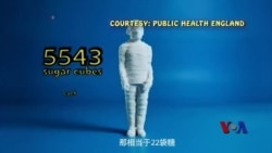 新手机监控应用程序显示糖分摄入量