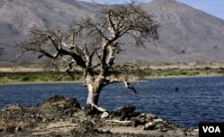 "Bisaan warshaa mataa-haaraa fi nuuraa heeraatii itti gadi dhiisan bisaan hadheessee lafallee gosse" footoo tana Rooba Bulgaatti VOA kenne