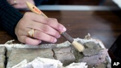 عکس تزئینی است (آرشیو)