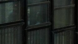 خبرنگار الجزیره حکم دادگاه مصر را سیاسی خواند