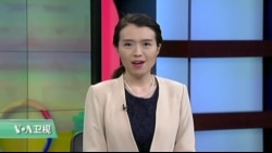 VOA连线：华盛顿樱花顽强过冬 樱花周末开幕