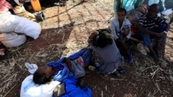 Baqattoonni Tigraay Kannee Sudaan Keessaa Qe’ee Ofiitti Deebi’uuf Haalli Jiru Amansiisaa Miti Jedhu