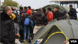 Para migran di Serbia (Foto: dok.)