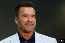 آرنولد شوارتزینگر