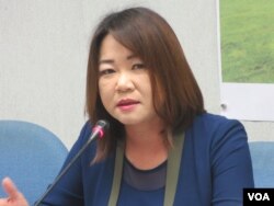 在野党国民党立委马文君