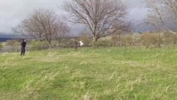 ხურვალეთი, მავთულხლართები