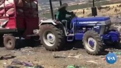 Dargaggoota Barnoota Sadarkaa Ol’aanaa Irraa Eebbifamanii Hojii Balfa Kaasuun Jireenya Jalqaban