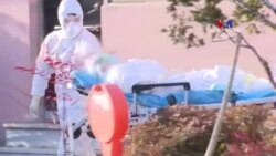 Լոս Անջելեսում Կորոնավիրուսի 6 նոր դեպք է գրանցվել։ Քաղաքում հայտարարվել է արտակարգ դրություն