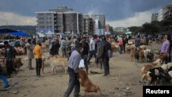 Faayilii - Gabaa ayyaanaa Finfinnee keessaa, Fulbaana 10, 2021