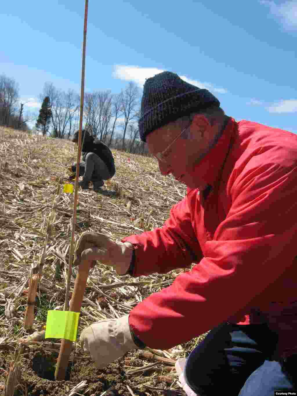 Volunteer Phil Bishop planted 600 trees himself and will be back next season to plant more. (SERC)