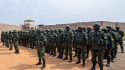 Chegada de tropas do Ruanda a Moçambique pode ter surpreendido os "jihaidistas", dizem analistas - 3:34