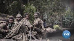 በተለቀቁ አካባቢዎች መንግሥታዊ አገልግሎቶች እየተጀመሩ መሆኑ ተገለፀ