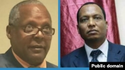 Faayilii - Dr. Mararaa Guddinaa (Mirga), Dr Alamuu Simee (Bitaa)