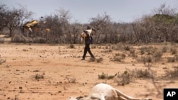 ፋይል - ኬንያ