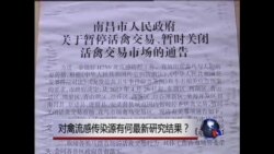 VOA连线: 关注中国禽流感疫情