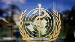 ውድብ ጥዕና ዓለም ሃገራት ኣንጻር ሕማም ዓሶ ቅልሰን ከሐይላ ጸዊዑ