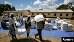 Zimbabwean villagers collect their monthly rations of food aid about 254km north of Harare on March 7, 2013. 