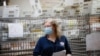 FILE- Cages loaded with ballots in U.S. Postal Service bins rest behind a worker at a Board of Elections facility in New York, July, 22, 2020. 
