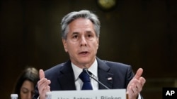 美国国务卿布林肯2023年10月31日在参议院拨款委员会作证时呼吁向以色列和乌克兰提供援助。