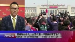 海峡论谈：最神秘的十九大台湾代表--卢丽安代表了谁?