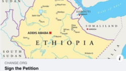 ዜጋታት ቀርኒ ኣፍሪቃ ንሰላም ኢትዮጵያ ህጹጽ መጸዋዕቲ ኣቕሪቦም