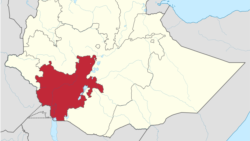 አዋጆች በደቡብ ኦሞ በትክክል እንደማይተገበሩ የኦሕዴኅ መሪ ተናገሩ