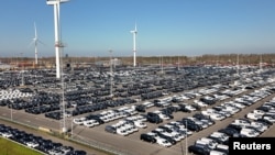 比利时的泽布吕赫港停满新运抵的汽车。（2024年10月24日）