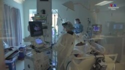 Լոս Անջելեսի ավելի քան 1 միլիոն մարդ պատվաստվել է ։ Հայ բժշկուհի Գայանե Գալուստանյանը ներկայացրել է պատվաստման առավելությունները