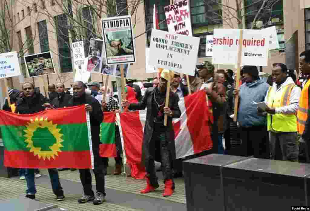 Hiriira Oromoonni Vaankoovar Kaanaadatti Godhan. Bitooteessa, 2016