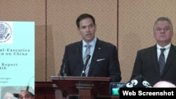 Sandbar sharks swim next to a snorkler in the Mediterranean Sea near a power plant off the coast of Hadera, Israel.